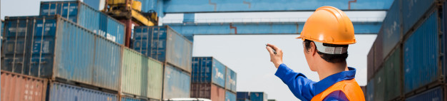 Türkiye&rsquo;den Serbest Bölgeye Mal İhracı Yapan E-Fatura Mükellefler Hakkında