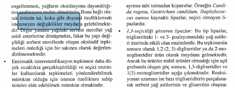 aranabilir pdf oluşturma